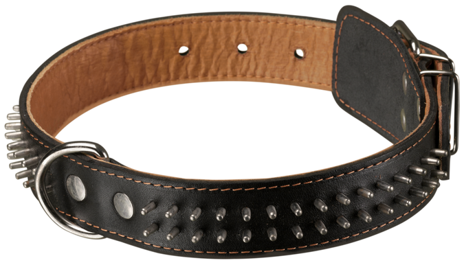 Black Dog Collar